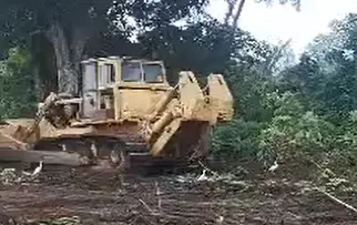 ABSinternational machine en pleine décapage zone forestière